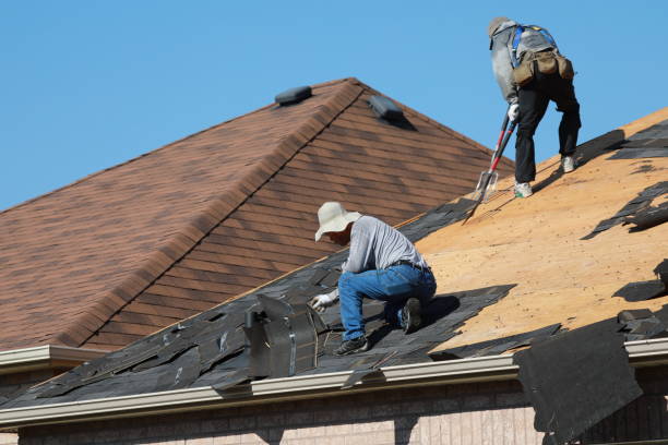 Best Gutter Installation and Repair  in Rome, GA